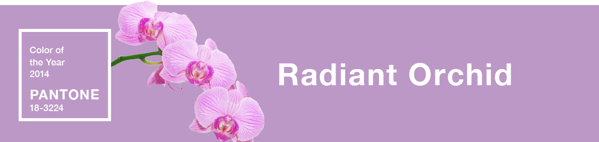 Radiant Orchid Banner